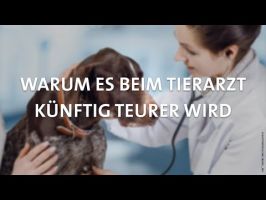veterinarmedizin und zootechnikkurse dusseldorf Vet Zentrum Düsseldorf Mitte