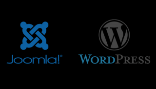 Wordpress Joomla Website Düsseldorf.