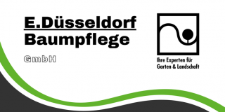baume beschneiden dusseldorf E. Düsseldorf Baumpflege GmbH